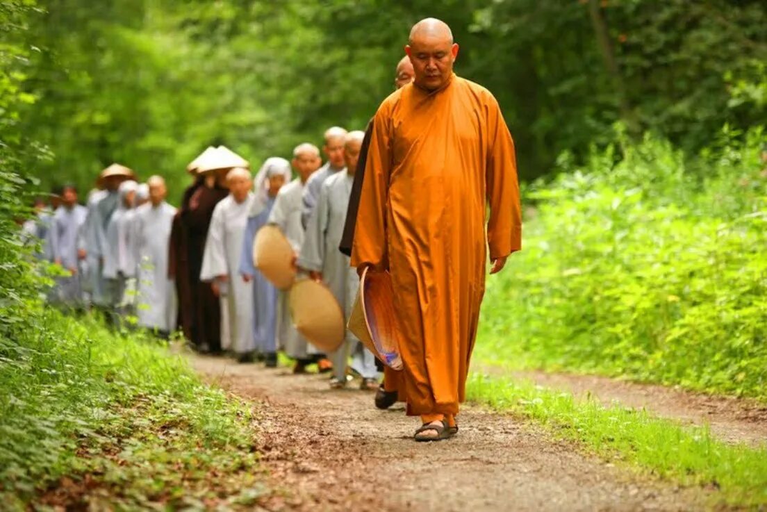 чистый буддизм