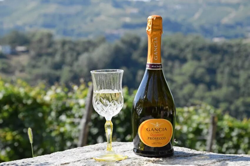 Campo passo prosecco. Просекко Ганча Просекко. Просекко Испания брют. Просекко новая Зеландия. Просекко итальянские вина.