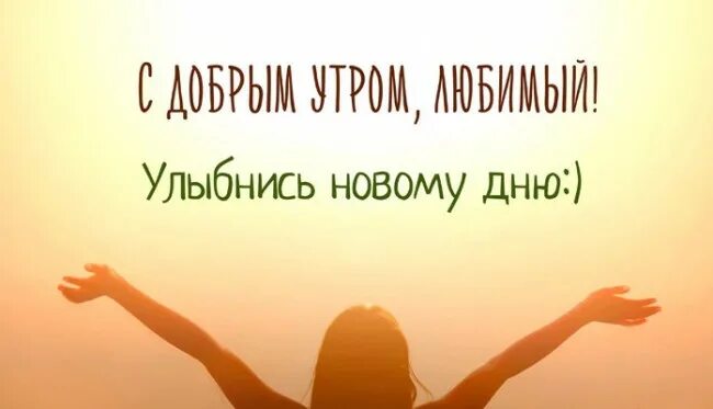 Котик строит глазки. Сам себе не улыбаюсь серьезный такой. Сам себе не улыбаюсь серьезный такой. Сам себе не улыбаюсь серьезный такой. Сам себе не улыбаюсь серьезный такой.