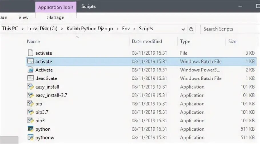 Env scripts. Env scripts