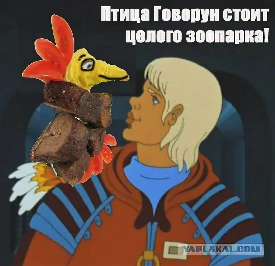 Отличается умом и сообразительностью. Птица говорун отличается умом и сообразительностью. умом и сообразительностью. я птица говорун. день говоруна.