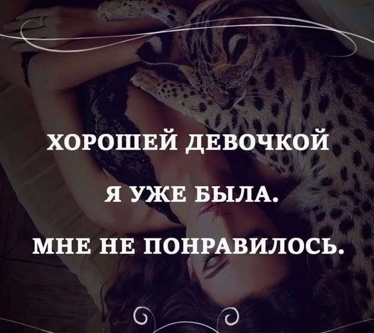 Статус стервы. Цитаты для девушек. дерзкие статусы. дерзкие афоризмы и высказывания. высказывания про девушек.