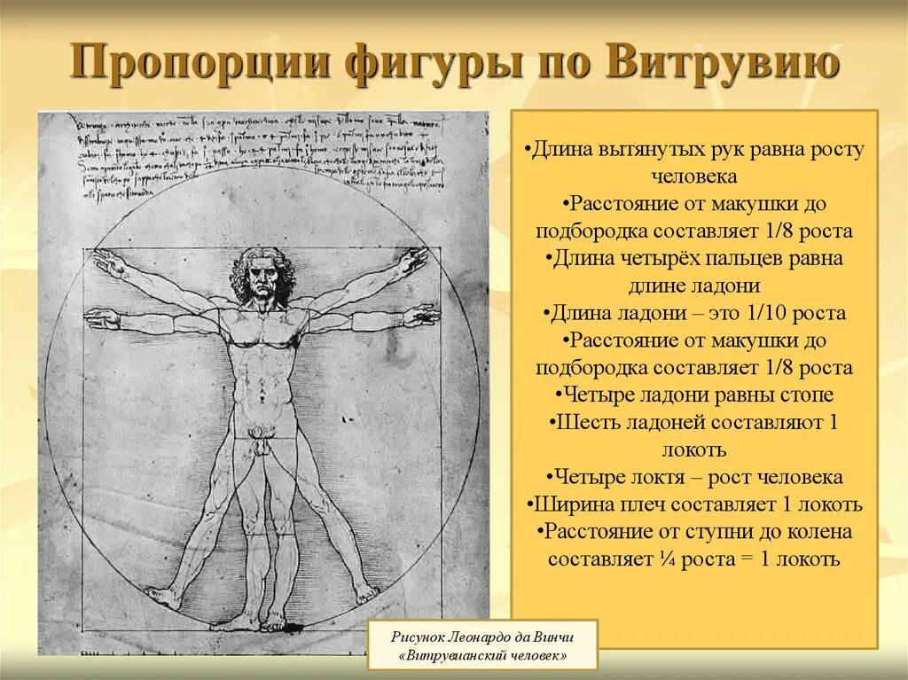 Длина человека. Канон изображения человека Витрувий. Канон Витрувия пропорции. Витрувий Леонардо да Винчи пропорции. Пропорции тела человека Витрувий.