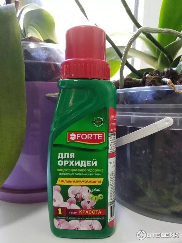 Удобрение для орхидей использовать. Bona forte для орхидей. подкормки для орхидей фаленопсис. удобрение для орхидей для цветения. гранулированное удобрение для орхидей.