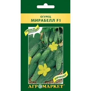 Сорта огурцов для беларуси
