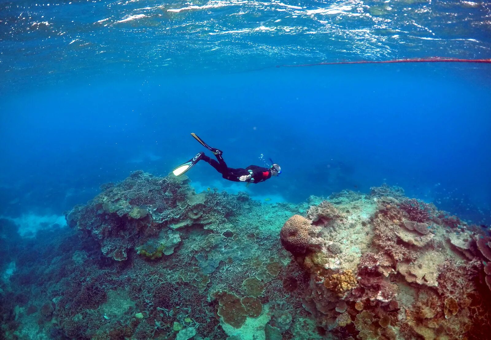 Great coral reef. Барьерный риф в Австралии. Большой коралловый риф в Австралии. Большой Барьерный риф (the great Barrier Reef). Большой Барьерный риф (ББР), Австралия.