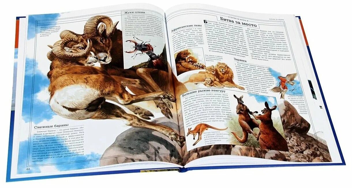 Удивительные и загадочные животные книга. Тайны природы загадочные животные. Тайны живой природы книга. Загадочный мир книга