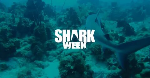 Well week