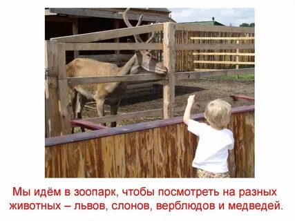 Ребята пришли в зоопарк
