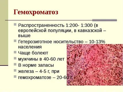 Фиброз печени клинические рекомендации