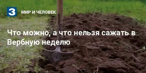 Воскресенье огород