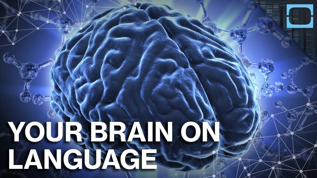 Brain languages. Изучение языков и мозг. Школы английского Brain. Brain Foreign language. Двуязычный мозг.