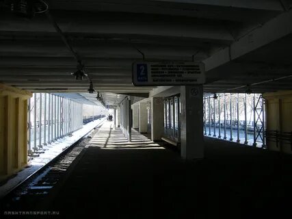 Метро пионерская транспорт