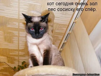 Он был зол очень зол