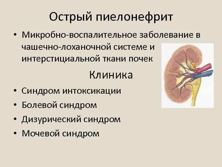 Что значит уплотнение члс почек