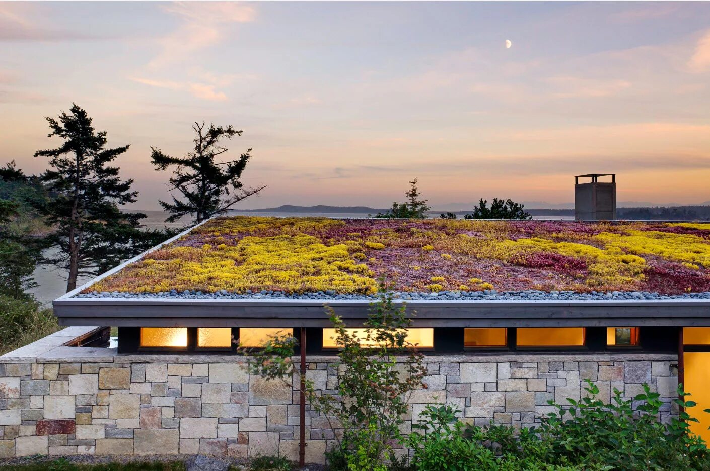 Земляная крыша. Эксплуатируемая плоская кровля Green Roof. Экстенсивная зеленая кровля. Зеленая кровля экстенсивная зеленая кровля. Кандинский зеленая кровля.