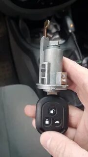 Личинка лачетти