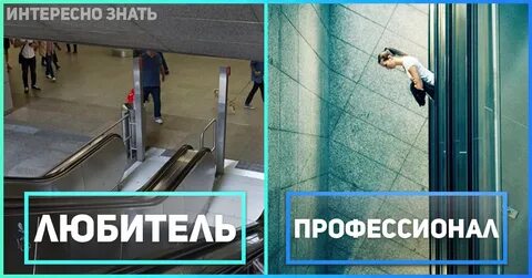 Профессионал троллит