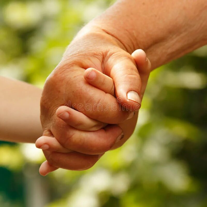 Ладони семьи. Семья руки. Ладони семьи и животного. Фото рук семьи. Handed family