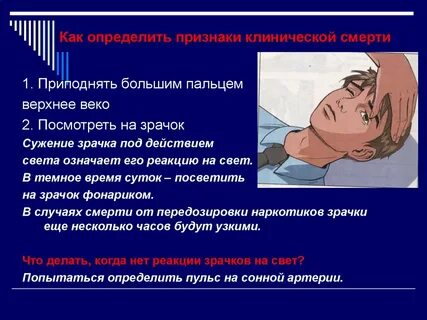 Клинические признаки жизни