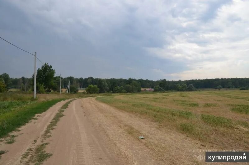 26 соток земли. 26 соток. пл в толочаново.