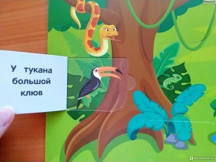 Феникс премьер