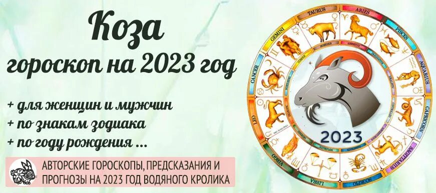 Зодиак год козы. Гороскоп на 2023 год. Гороскоп на 2023 год коза женщина. Восточный гороскоп коза. Символы Восточный гороскоп коза.