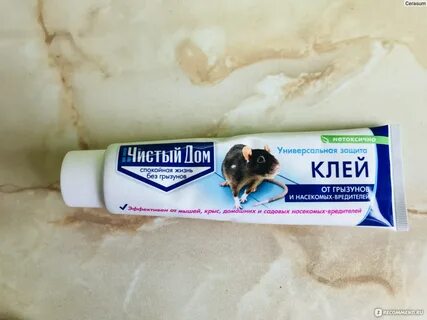 Чем отмыть клей от мышей с кошки