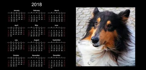 Календарь 2017 животные