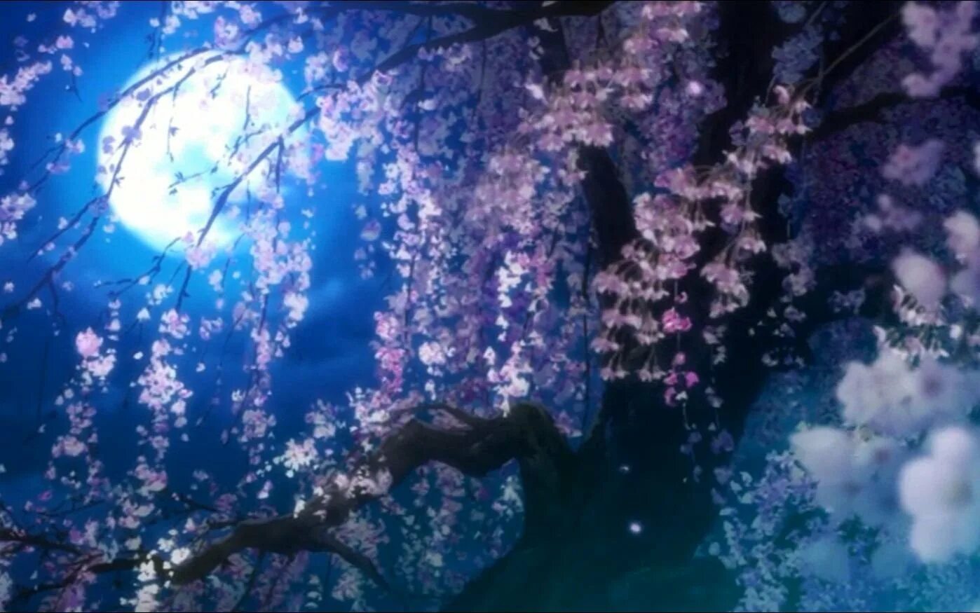 Blossom in my moonlight