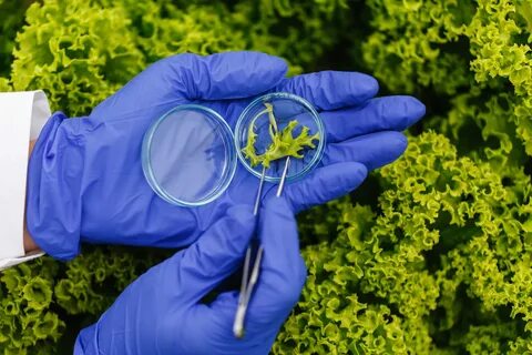 Biological environment