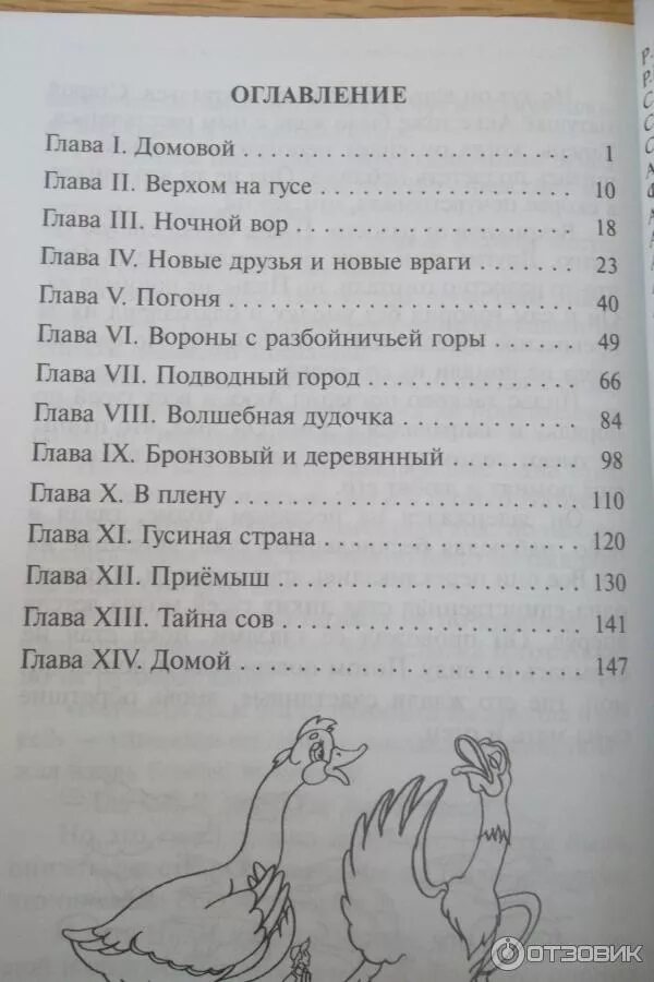 Путешествие нильса сколько страниц. Путешествие нильса сколько страниц