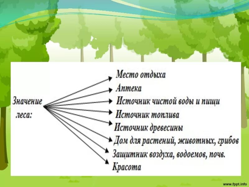 Важность лесов схема. Схема значение леса. Древнерусские люди в лесу. Важность леса.