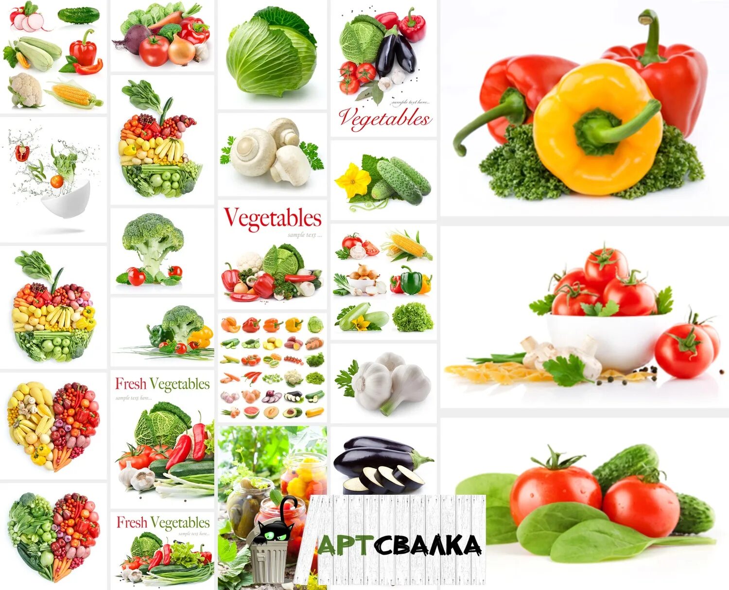 Two vegetables. Овощи растровый клипарт. Логотипы овощных компаний. Овощи logo.