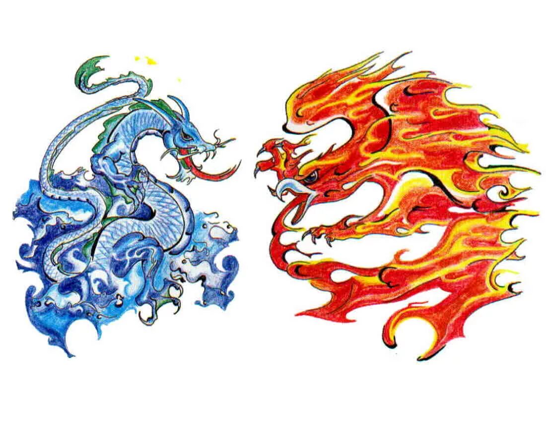 Дракон 5 стихий. Драконы стихий. Рюдзин морской дракон. Драконы стихий. Китайский дракон стихия.