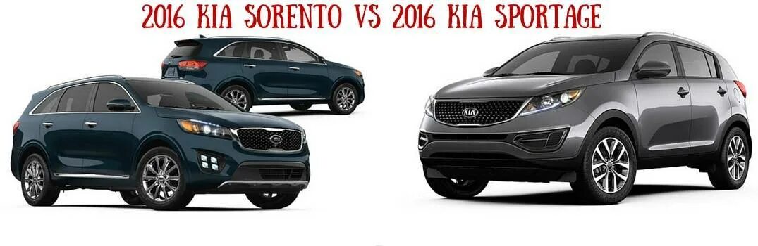 Киа Соренто Спортейдж. Kia Sorento 2016. Sportage 2015 Sorento. Киа Рио Соренто. Сборка киа соренто