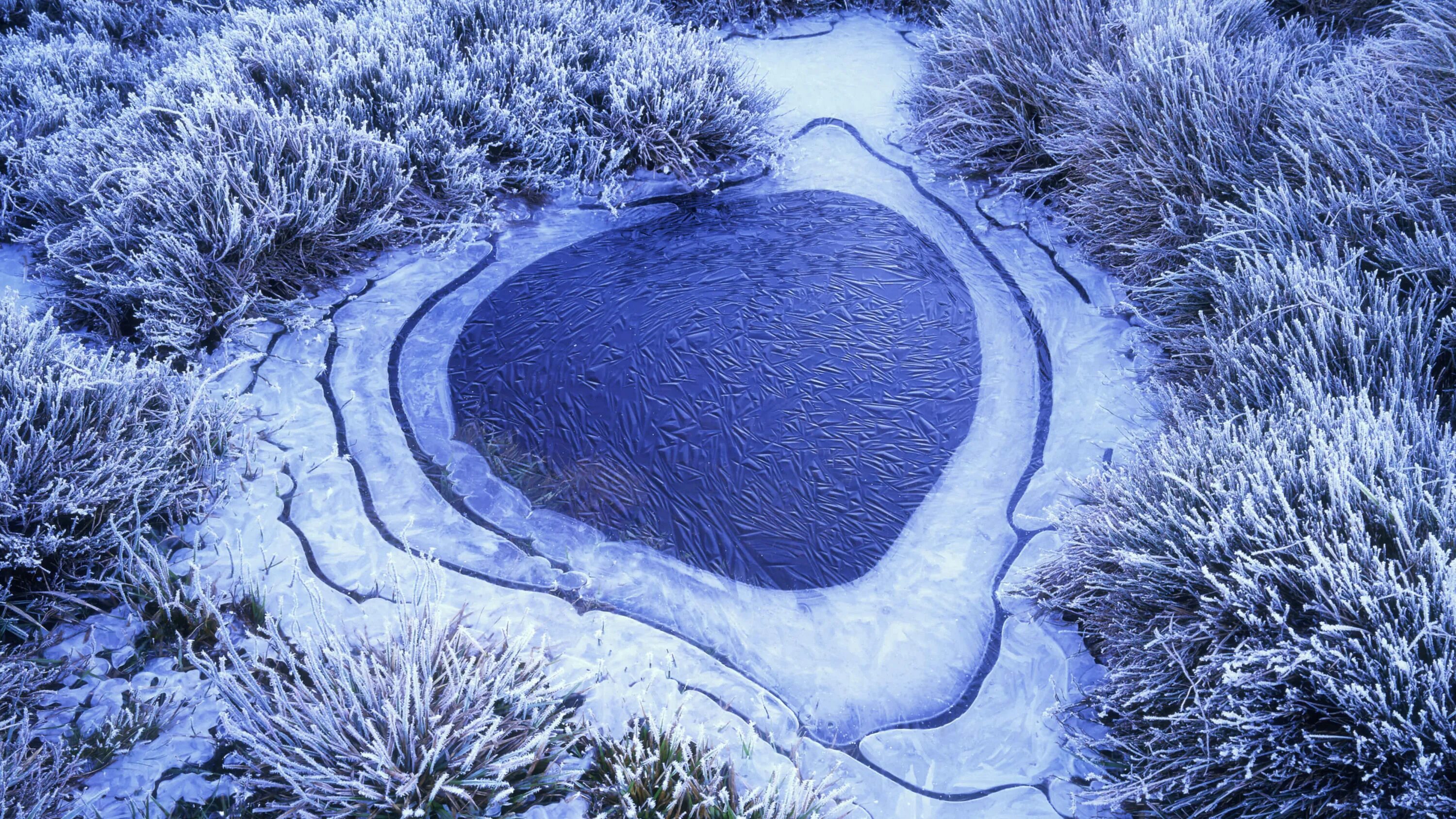 Скованное льдом озеро. Водоем зимой. Озеро зимой. Замерзший водоем. Лед на озере.