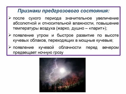 В сухой период они находятся в состоянии