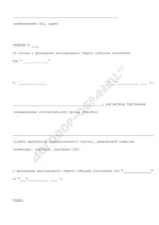 Решение директора о созыве внеочередного собрания