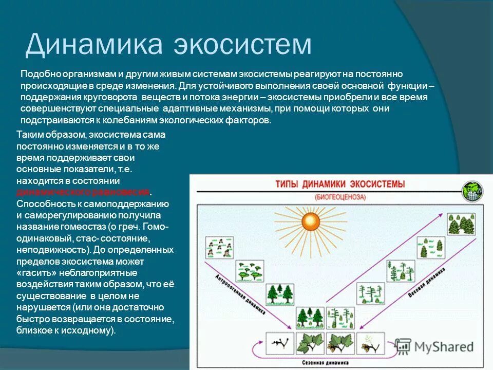 В экосистеме основной поток вещества