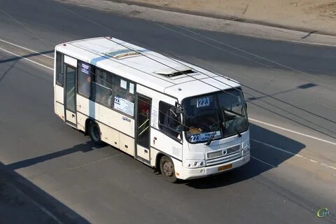 Паз 3