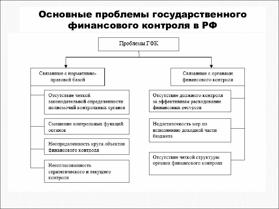 Хозяйствующие субъекты финансового контроля. Взаимодействия органов государственного финансового контроля в РФ. Схема организации финансового контроля. Специфика муниципального финансового контроля. Проблемы государственного и муниципального финансового контроля РФ.