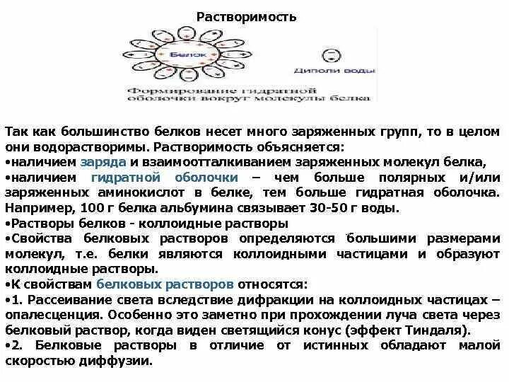 Гидратная оболочка. Гидратная оболочка белков. схема гидратной оболочки белковой молекулы:. растворимость белков биохимия. роль гидратной оболочки.