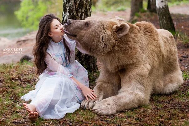 Какой медведь алиса. Алиса медведи.
