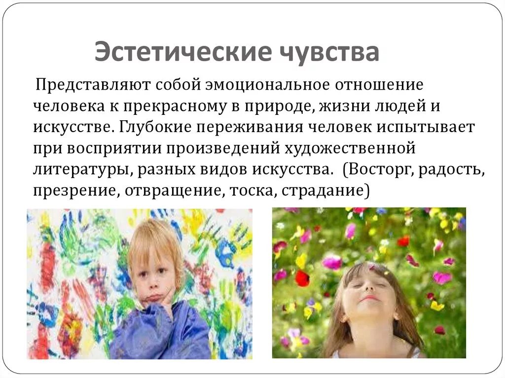 Природа эстетических ценностей