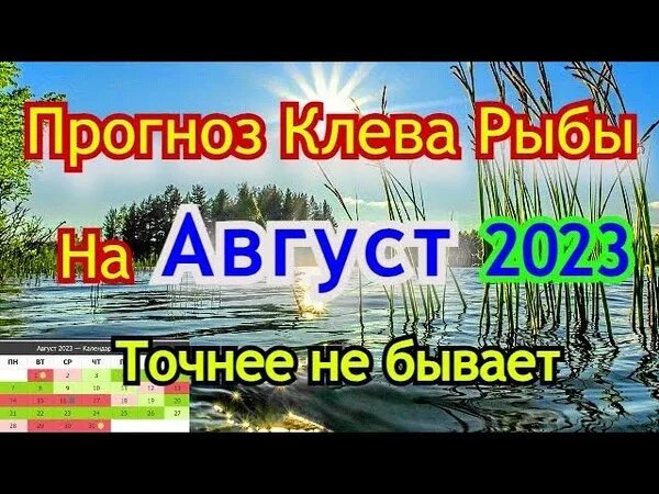 Прогноз август 2025. Все о рыбалке. клёв рыбы на август 2025 г.. календарь рыболова на август 2025. рыбалка по лунному календарю 2025 год август.