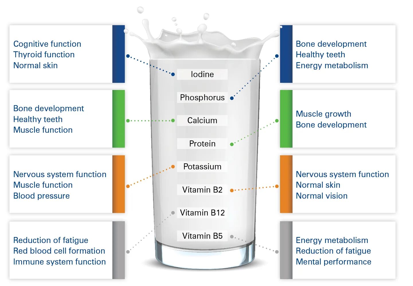 Milk is on the upper shelf. Milk nutrients. components of milk. milk nutritional value. composition of milk.