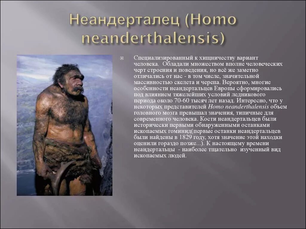 Особенности строения неандертальца. Неандерталец (homo Neanderthalensis). Неандерталец характеристика. Древний человек неандерталец характеристика. Неандерталец образ жизни таблица.