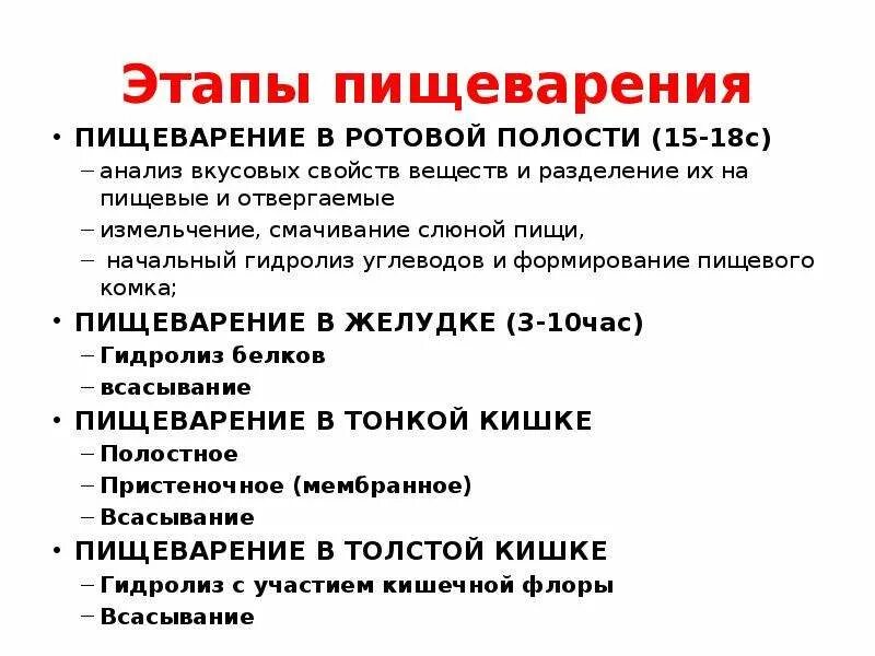 Всасывание происходит в ротовой полости и кишечнике. Этапы пищеварения схема. Этапы пищеварения у человека схема. Пищеварение в полости рта и желудка. Пищеварение в ротовой полости и в желудке.