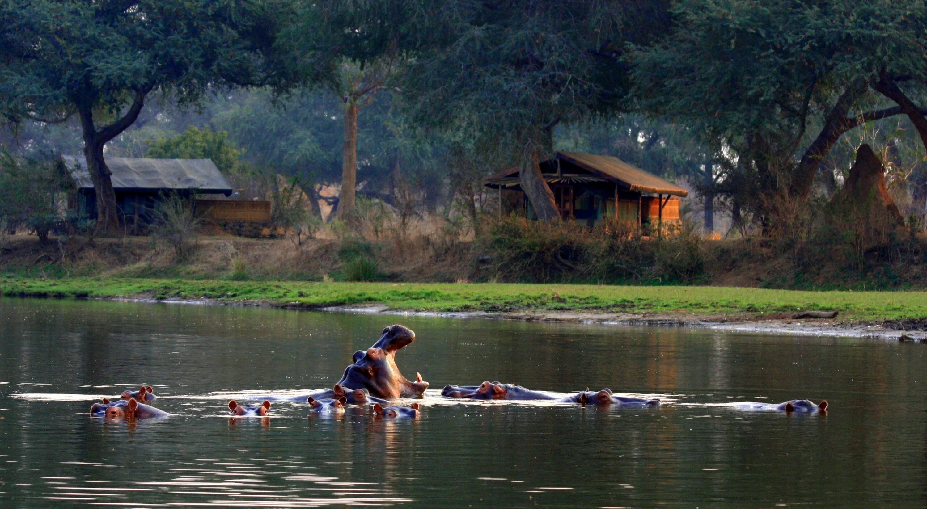 River camp. Река Кемп. Ривер Камп. Kayaking Zambezi River. Ночь на берегу реки в Замбези.